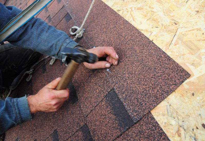 Asphalt Roof Repair