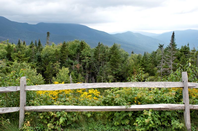 Split Rail Fence Installation